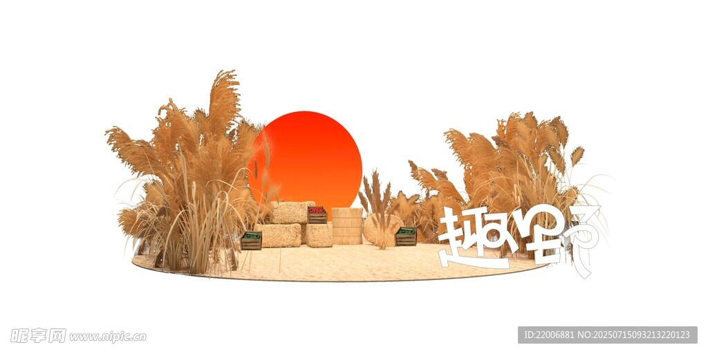 露营打卡点