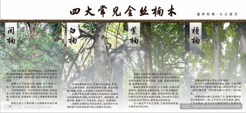 四大金丝楠木