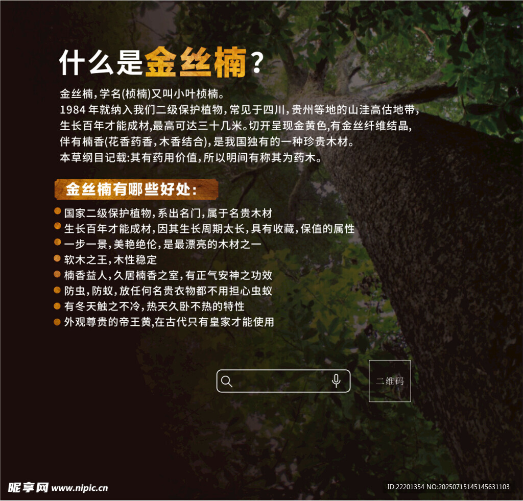 金丝楠木海报
