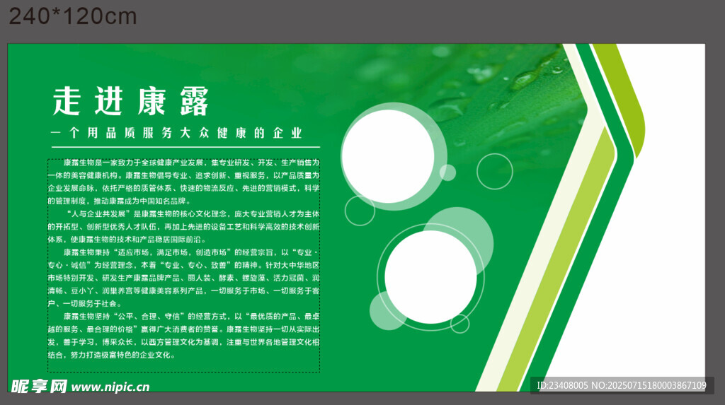绿色环保公司简介展示