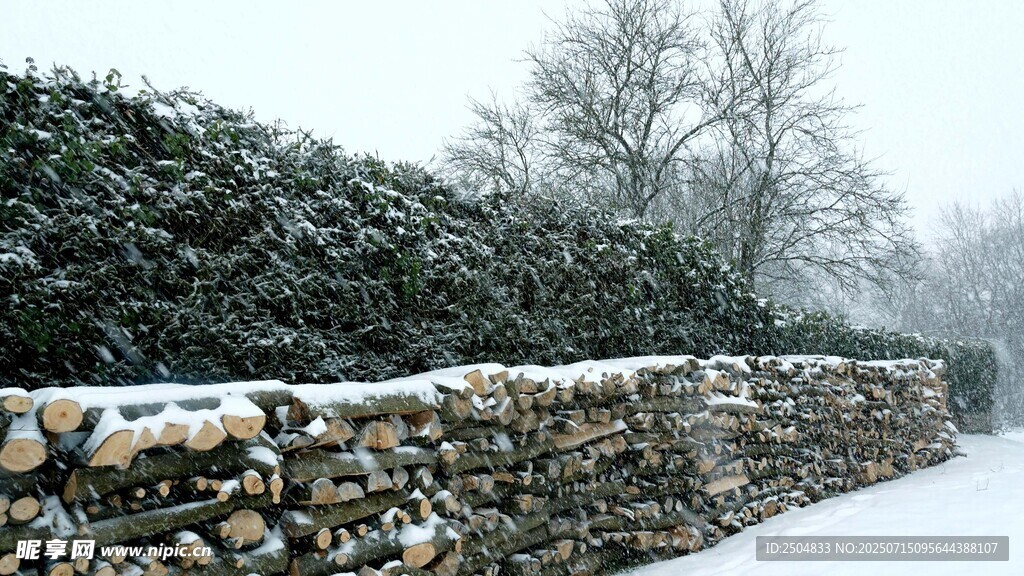 雪覆柴垛与绿植冬日景致