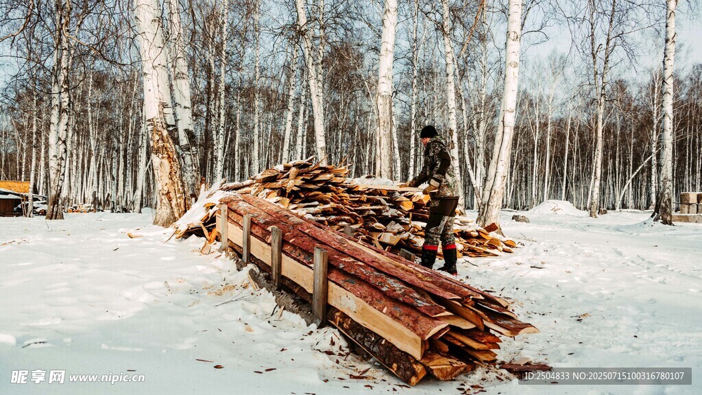 雪地中的木材堆放场景