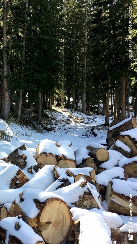 雪地中的伐木场景