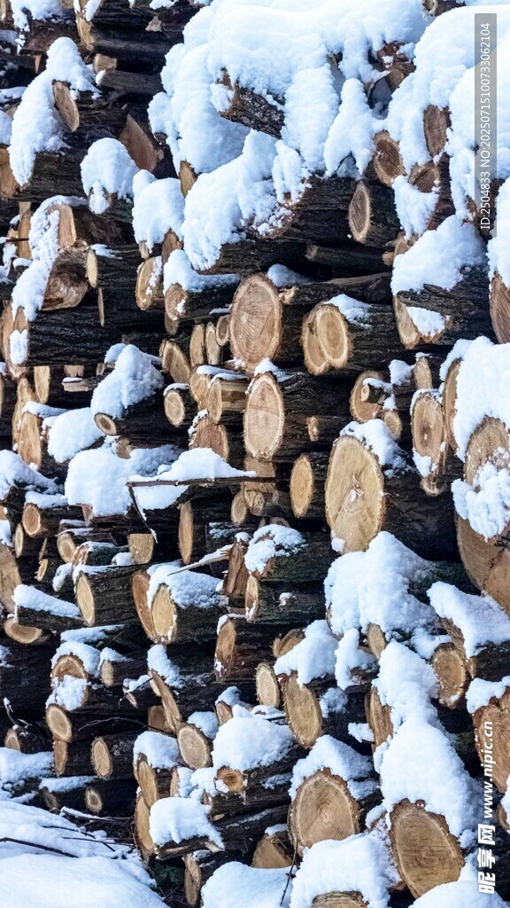 雪覆木屋群