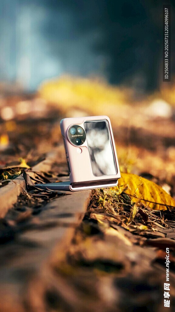 落叶上的复古相机摆件