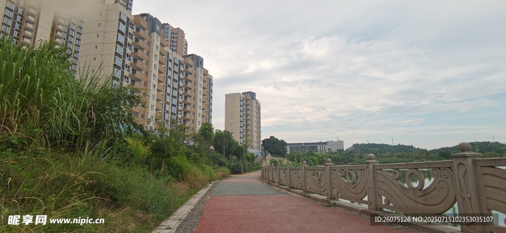 城市道路旁的高楼与绿植