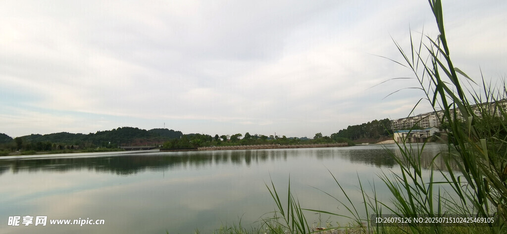 宁静湖畔风光
