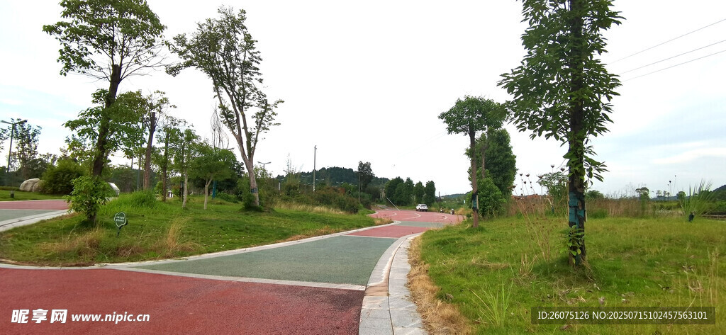 乡村红道旁的绿意风景