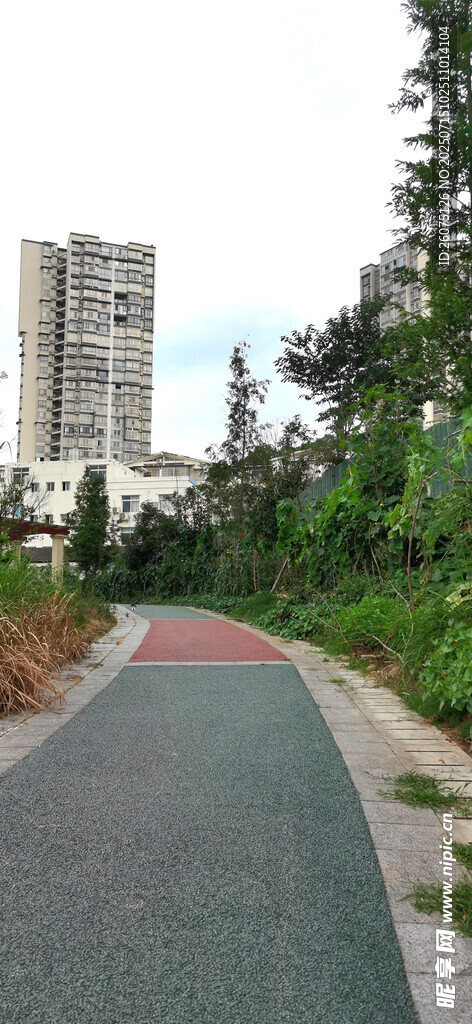 城市中的多彩林荫步道