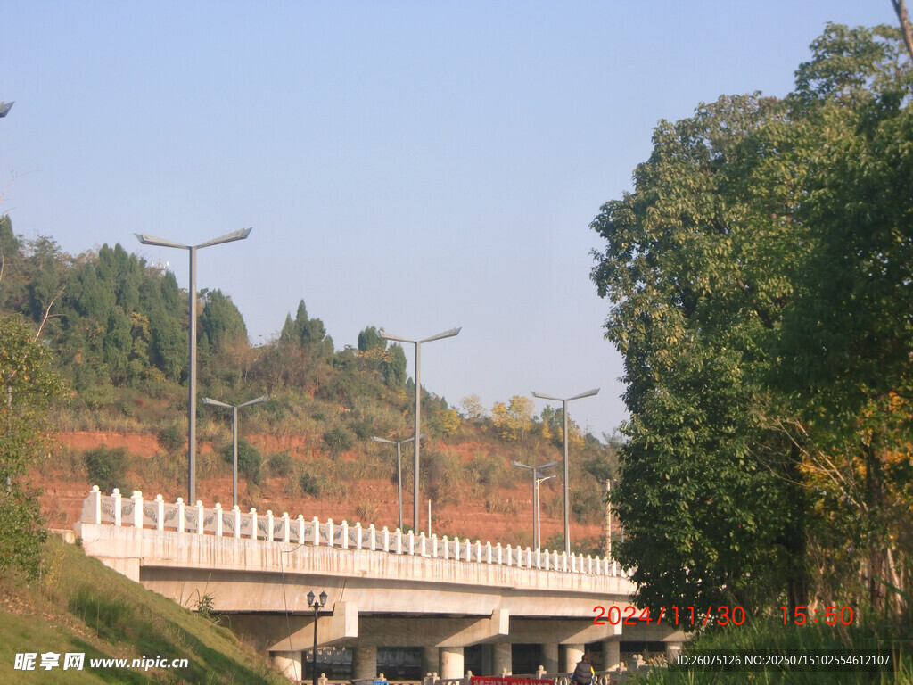 公路桥梁旁的绿意景致