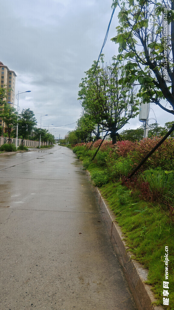 雨后湿润的乡间小道