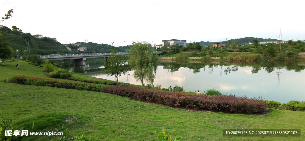湖畔绿地景观