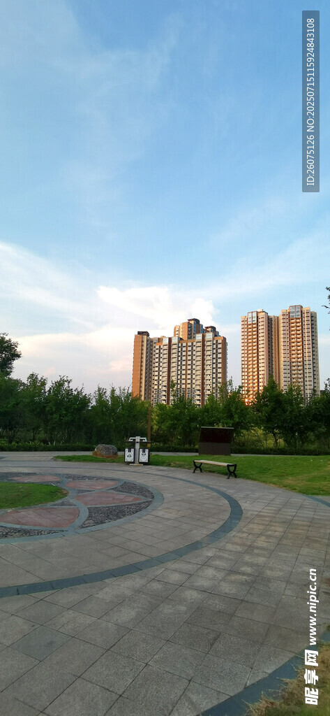 城市公园中的开阔景观