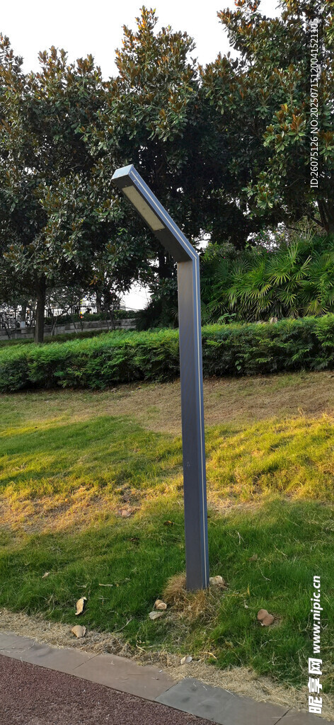 户外太阳能路灯立于草地