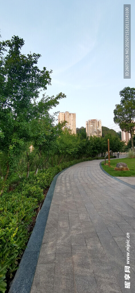 城市公园中的幽静林荫步道