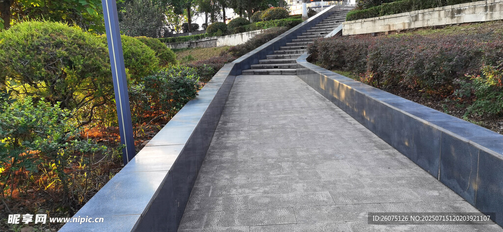公园蜿蜒水泥步道景观