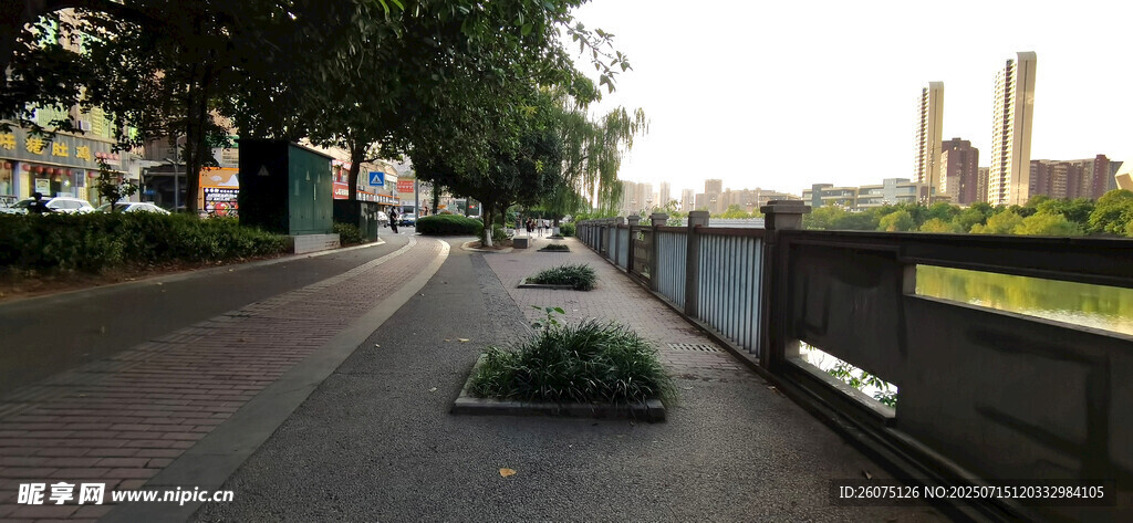 城市河畔的静谧道路