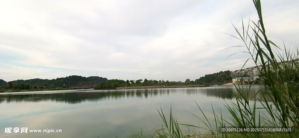 宁静湖畔风光