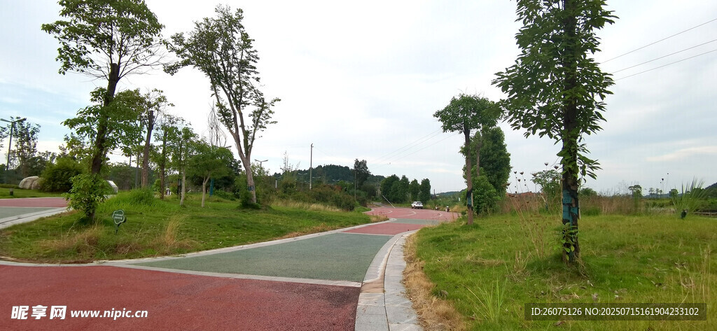 乡村彩色道路旁绿意景致