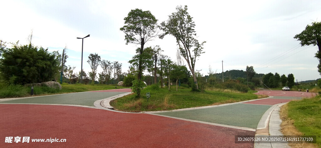 公园彩色步道风景