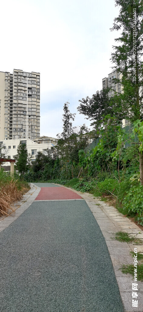 城市中的彩色步道景观