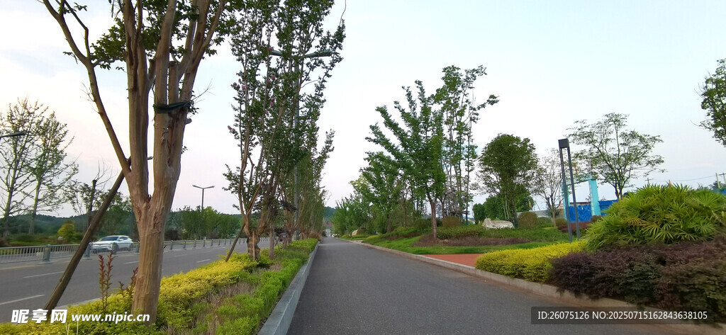 城市辅道绿植景观