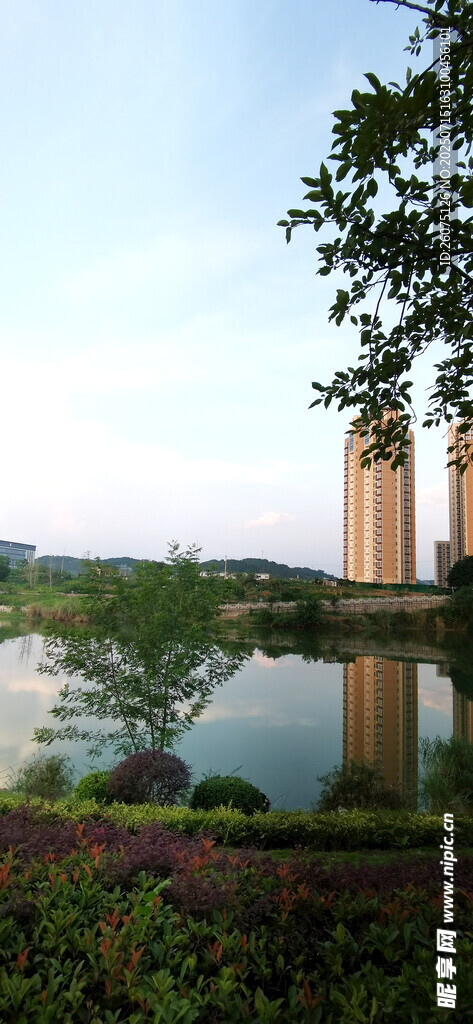 湖畔风光与远处建筑景致