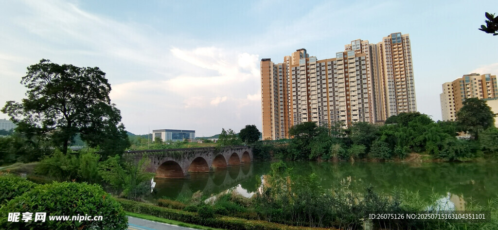 城市中的绿植与高楼景观