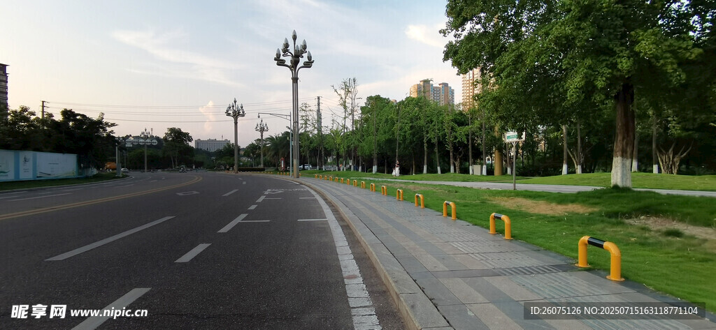 城市道路旁的绿化景观