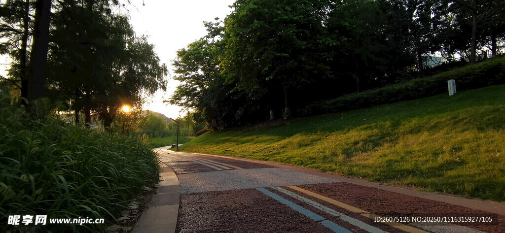 夕阳下的林间静谧小路