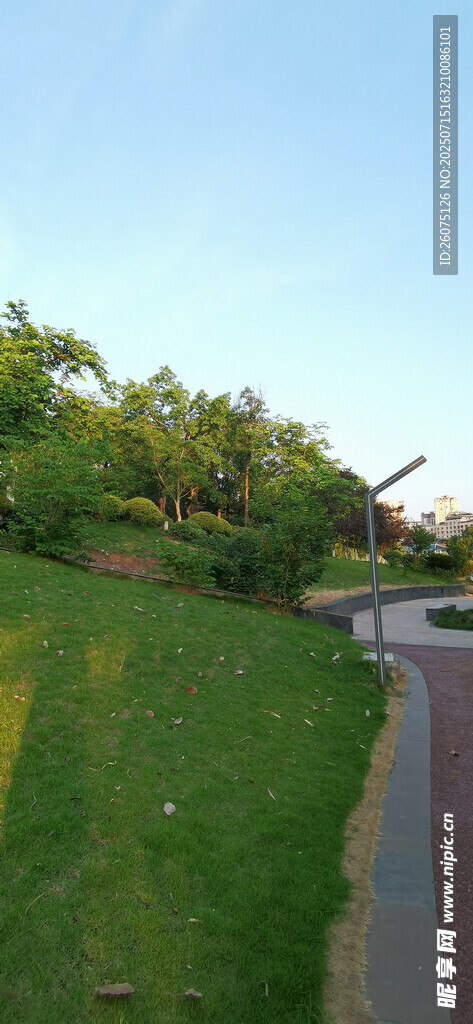 户外公园小径旁的绿意风景