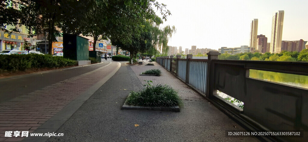 城市街边公园步道绿植景观