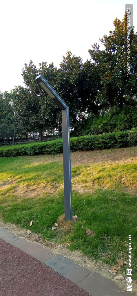路边草地中的路灯