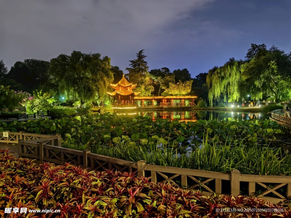 园林夜景繁花似锦
