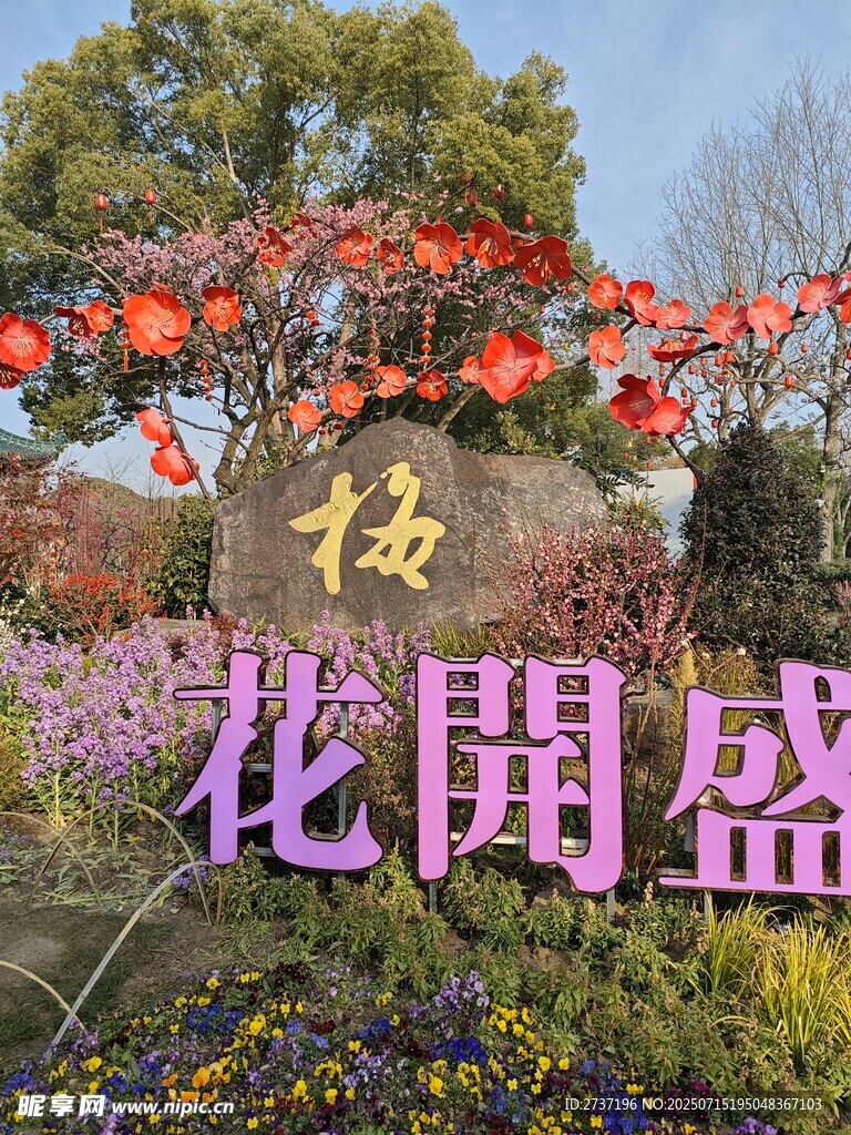 花开盛景