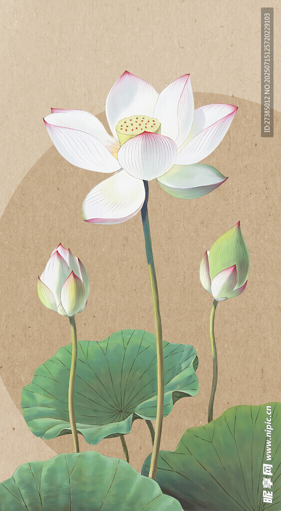 水墨荷花