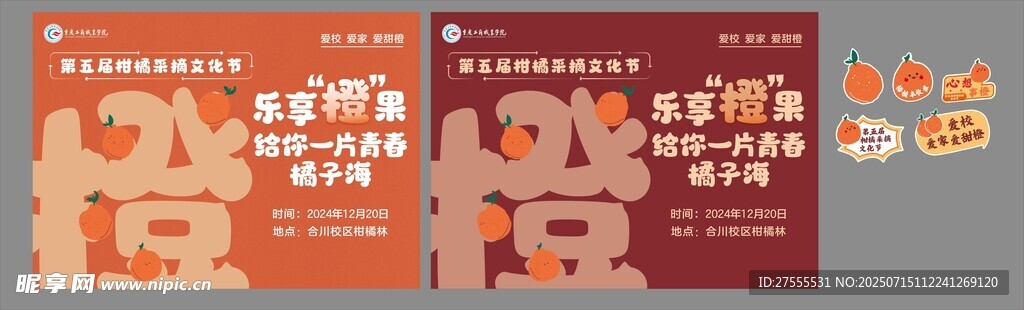 柑橘采摘节