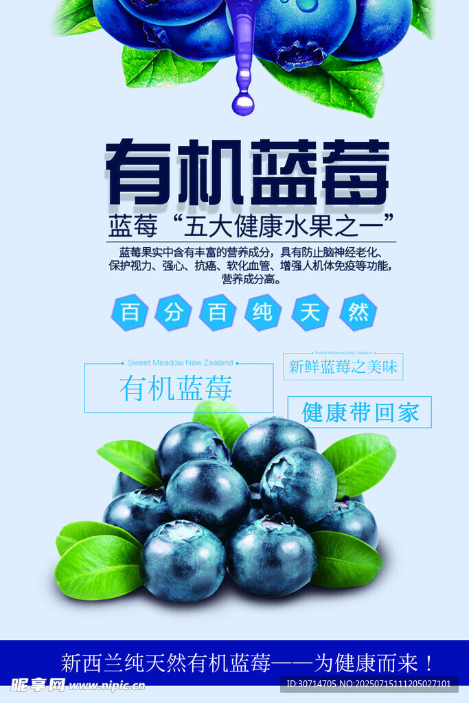 蓝海海报