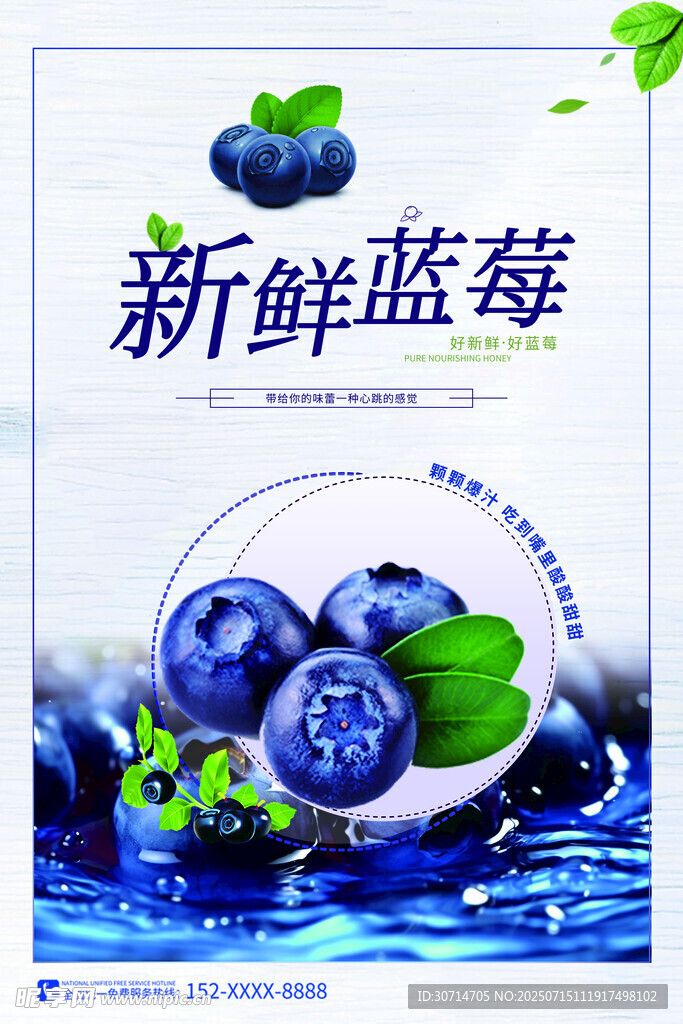 蓝莓海报