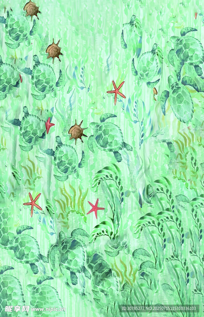 海龟 海草 