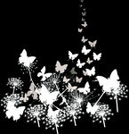 定位花