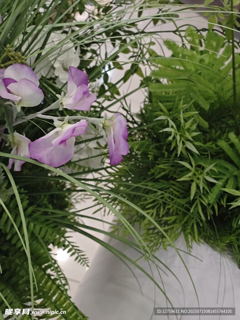 紫色花卉与绿植景观