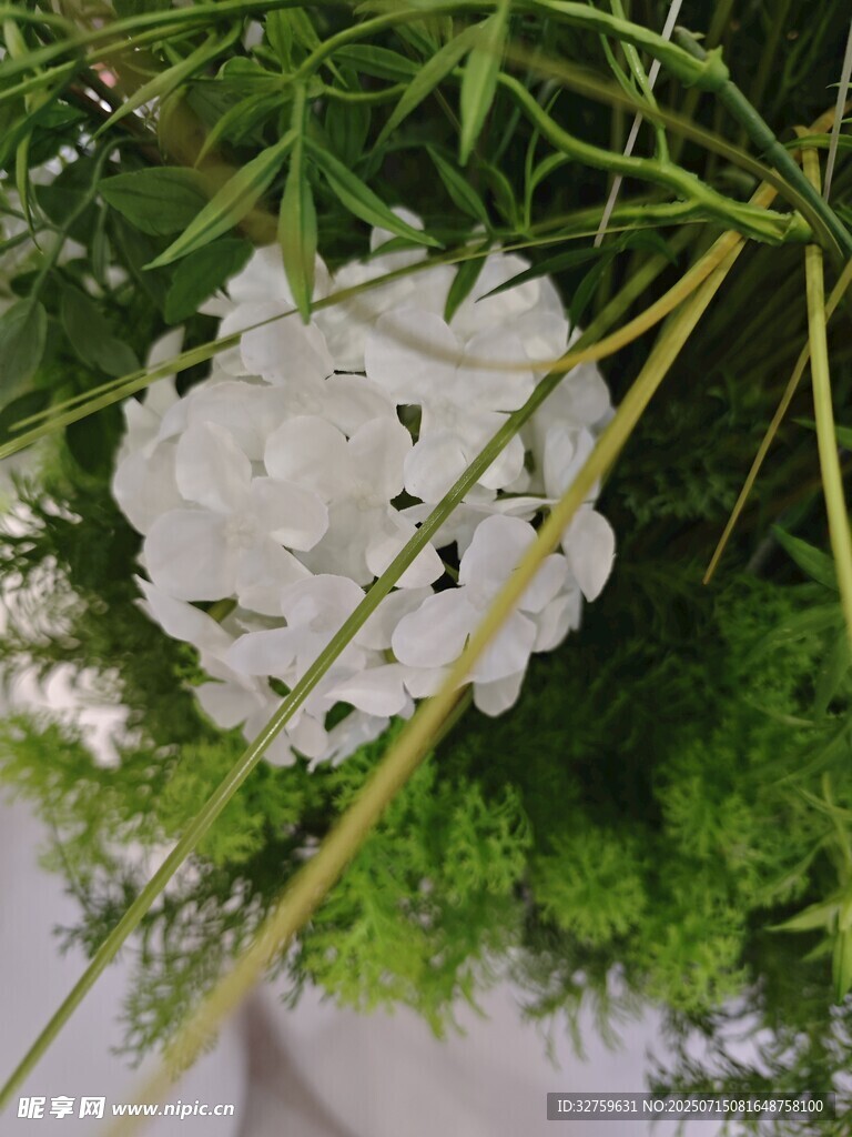 晶莹玉石被绿植环绕