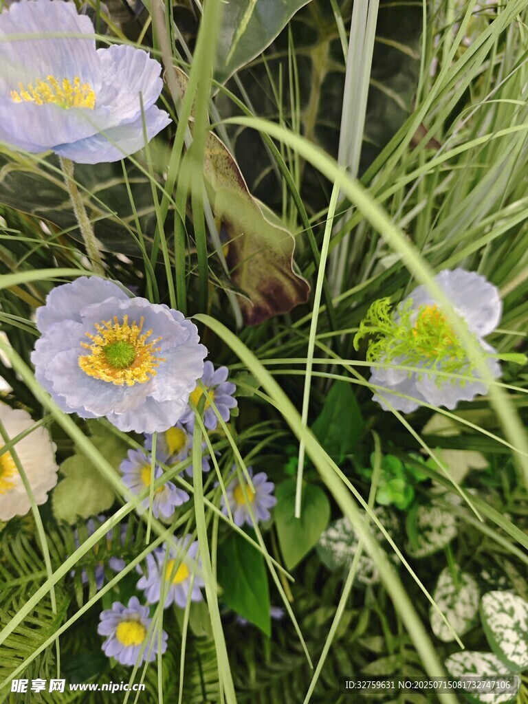 清新花卉丛中的美丽景致