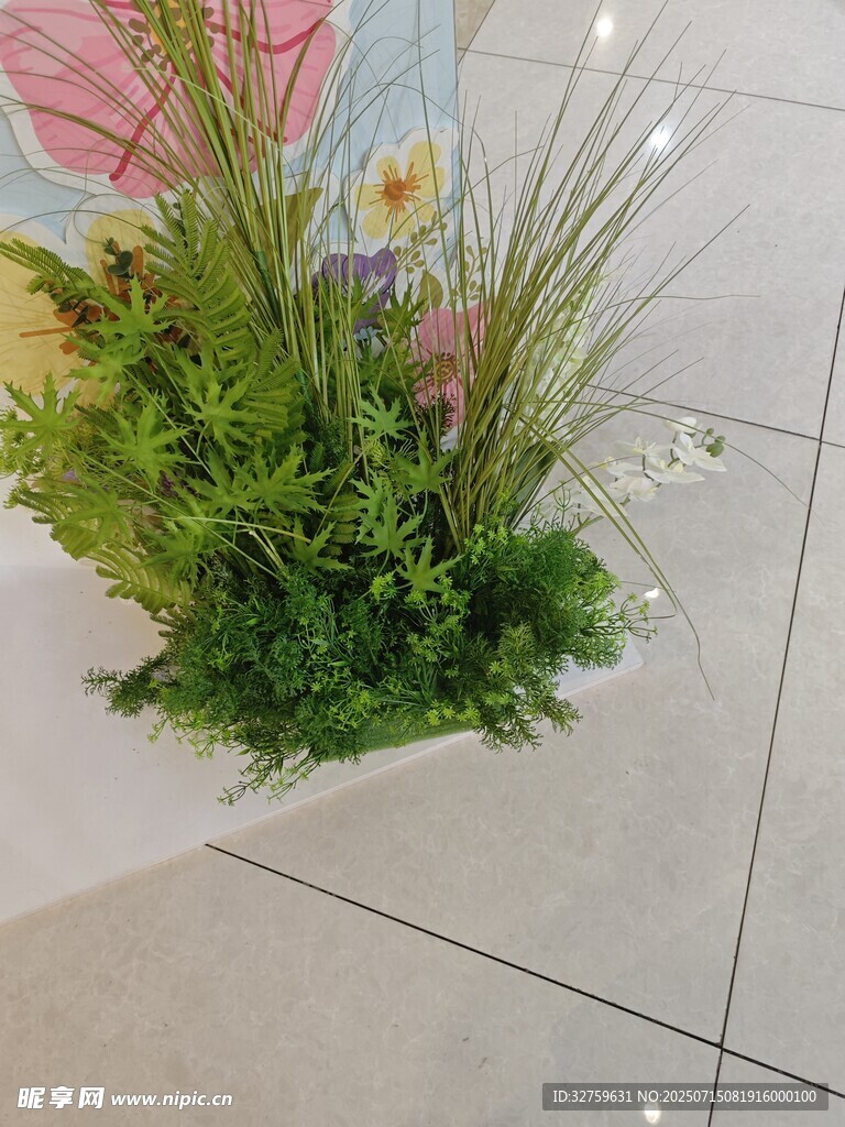 绿植盆栽