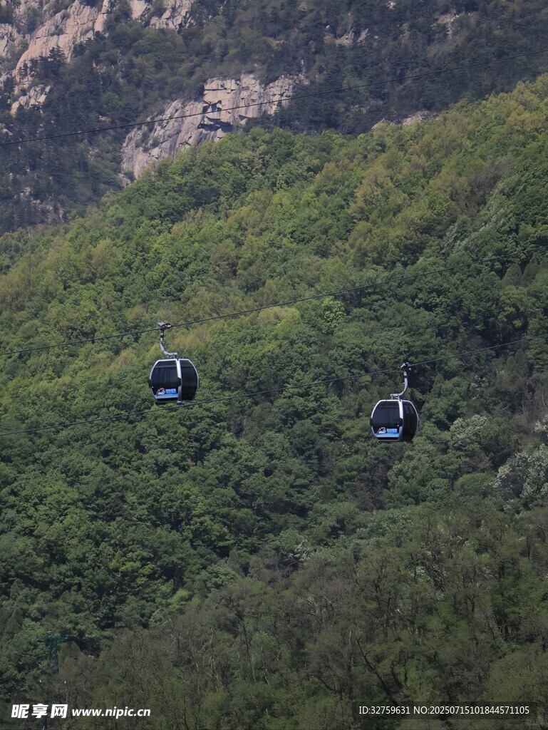 山间缆车穿梭绿意中