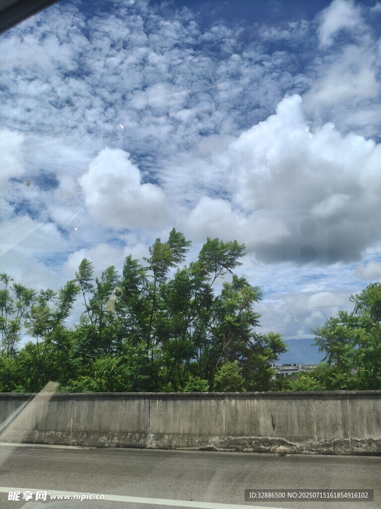 公路旁绿树与蓝天白云