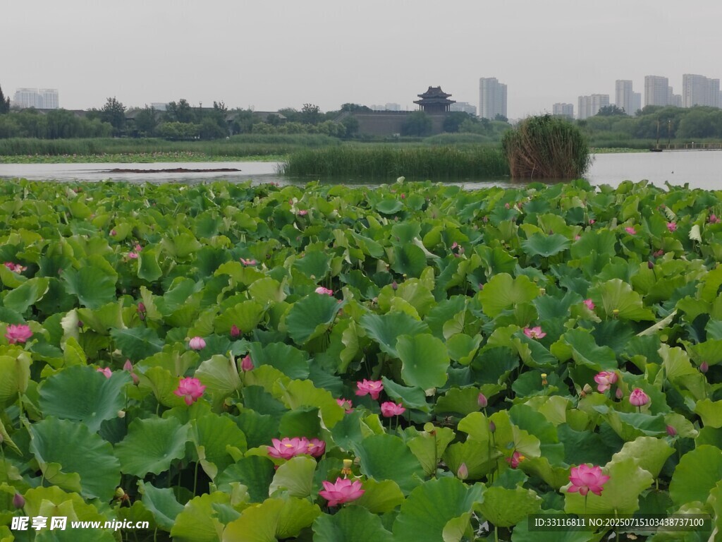 湖边美景