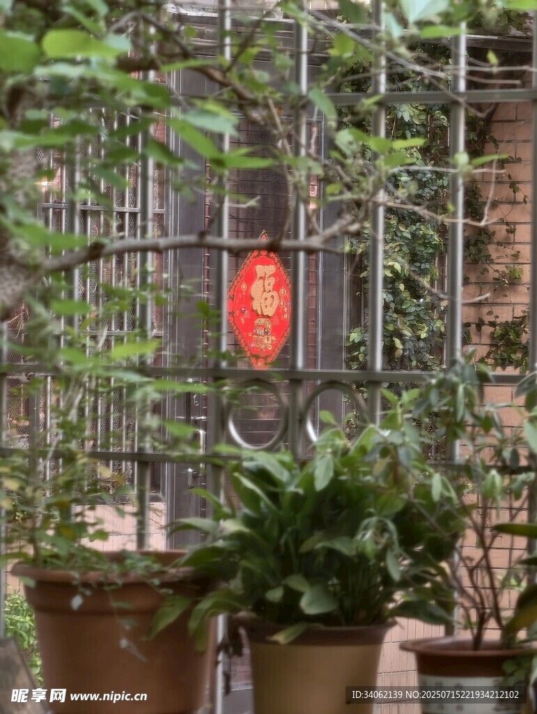 铁栏后的绿植与红灯笼