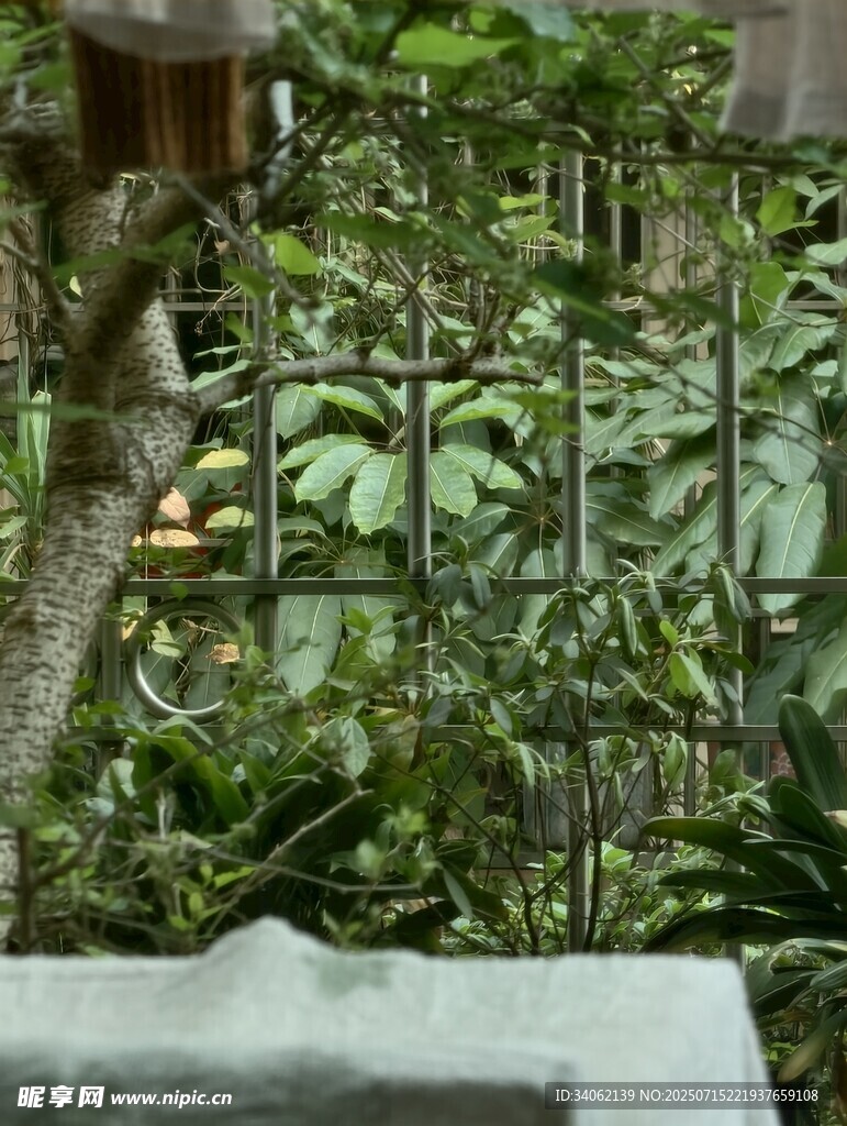 绿植环绕的铁艺围栏景观